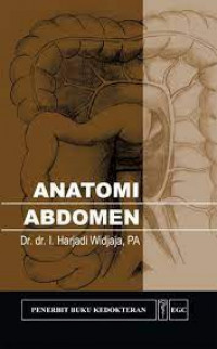 Anatomi abdomen