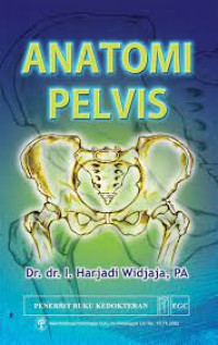 Anatomi pelvis