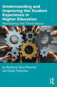 Understanding and improving the student experience in higher education: navigating the third space