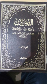Image of al Raudlu al unfu : fi tafsir al sirah al nabawiyah li Ibn Hisyam 3 / Abi al Qasim Abdurrahman bin Abdullah ibn Ahmad bin Abi al Hasan al Khath'ami al Suhaili